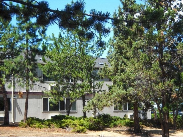 a white house with trees in front of it