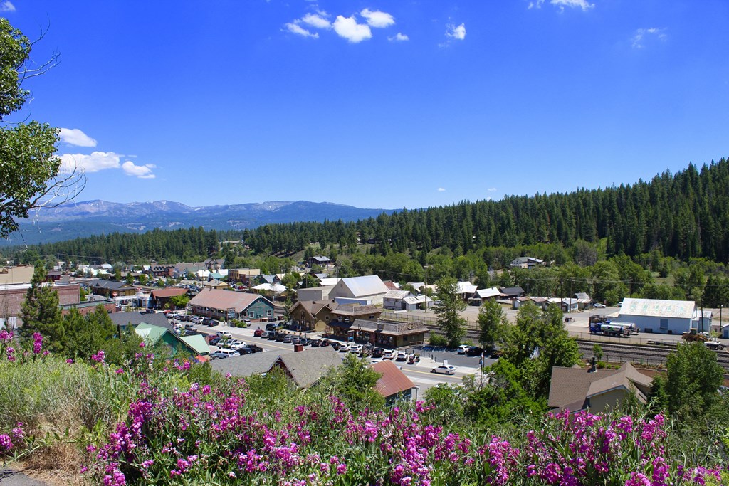 Truckee,  view of town from hillside above