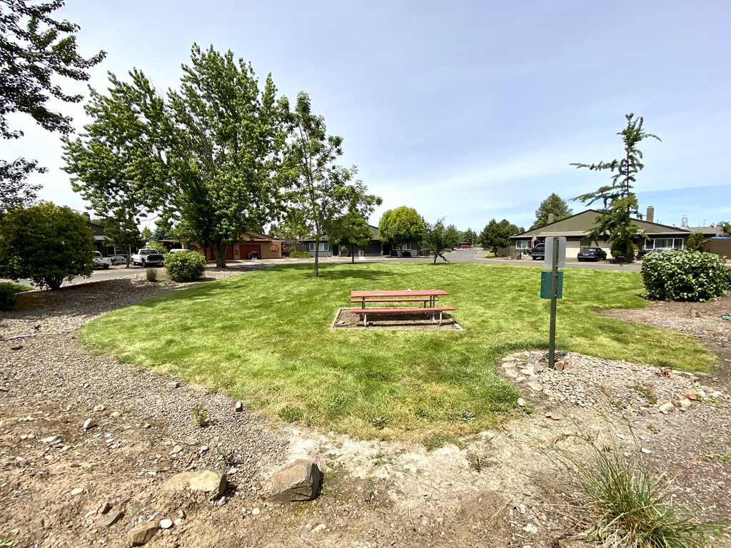 Sunrise Park picnic table