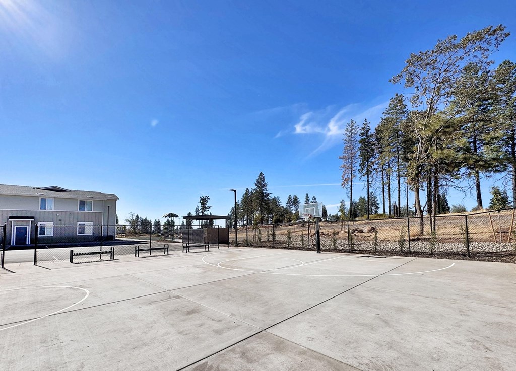 the spacious basketball court at the enclave at university heights apartments fl