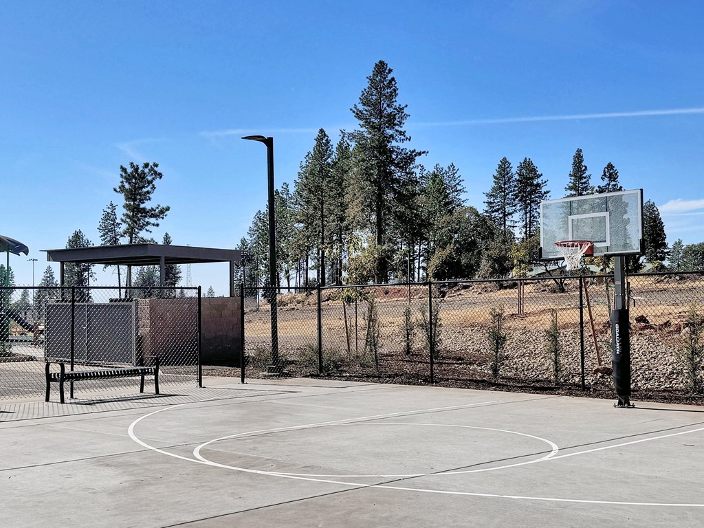 a basketball court at a park with trees in the background