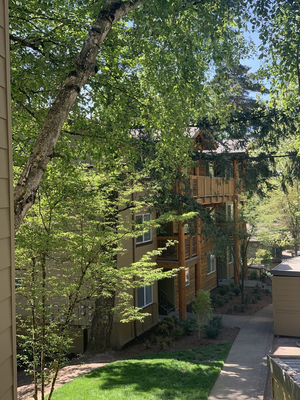 Ridge at Mtn Park Exterior