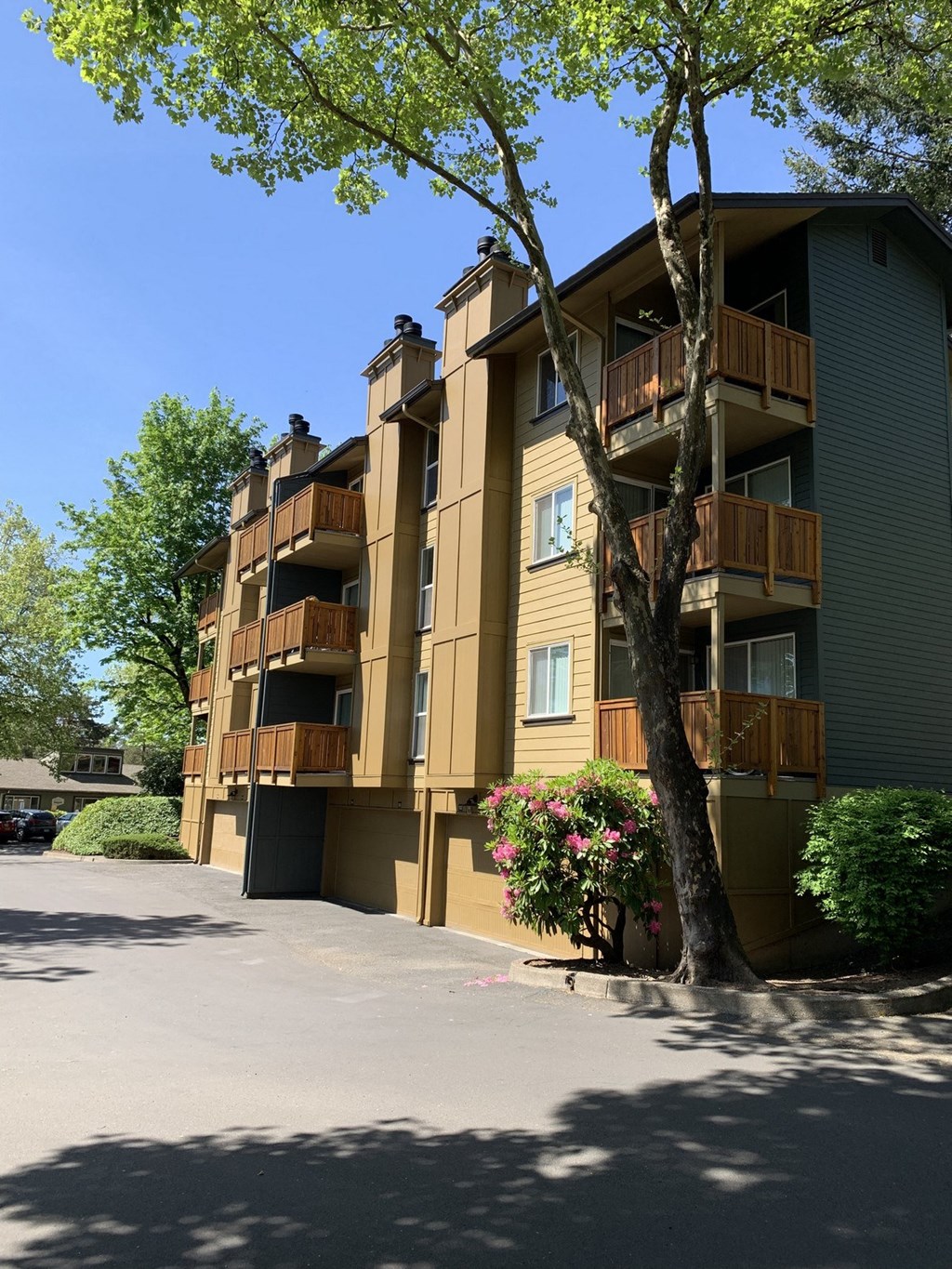 Ridge at Mtn Park Exterior