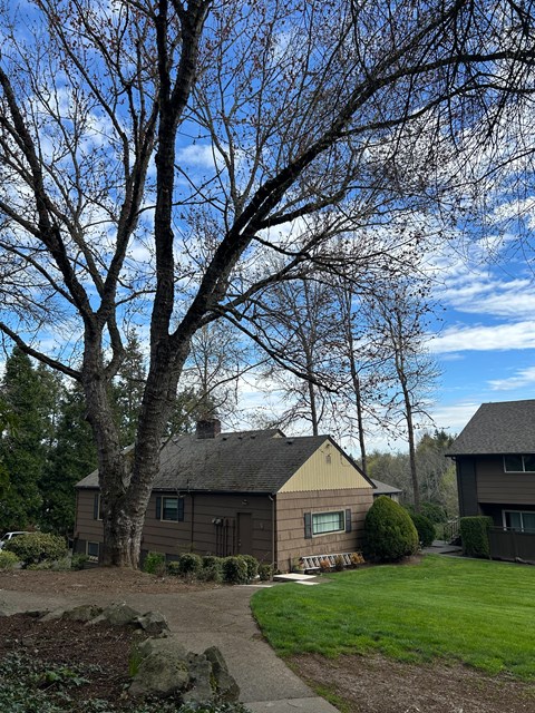 A house with a brown roof and a tree in front of it.