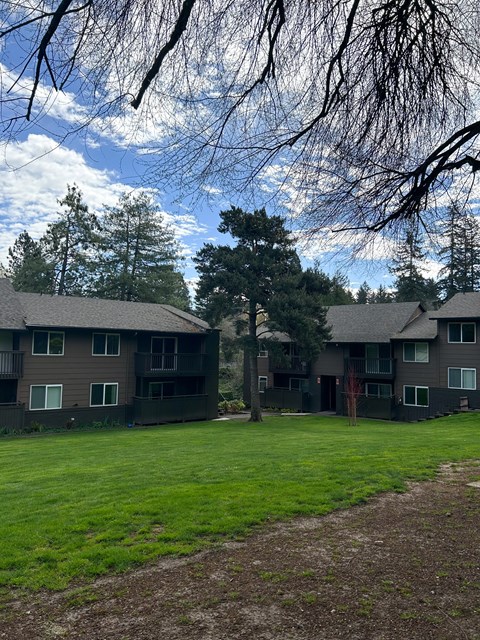 Apartment complex with a tree in front.