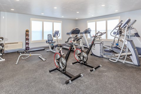 the gym at the flats at big tex apartments