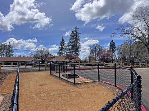 A tennis court surrounded by a black fence with trees in the background.