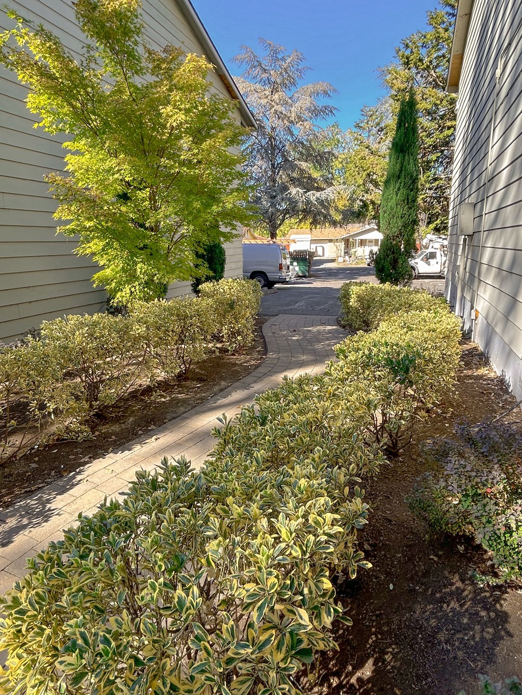 A residential area with a white van parked in the driveway.