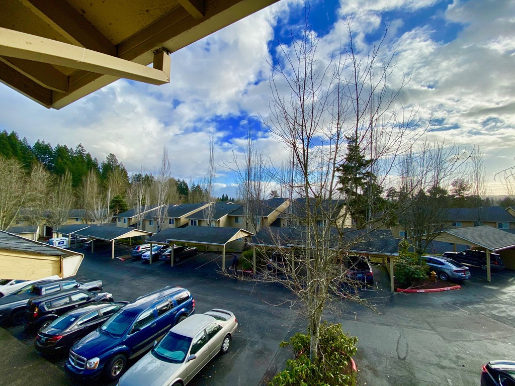 Wellington Estates property parking