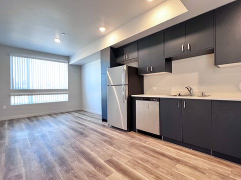 A kitchen with a refrigerator, dishwasher, and cabinets.