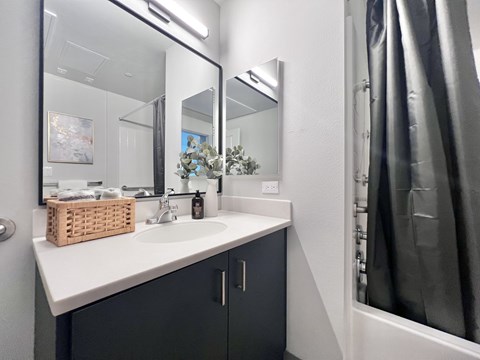 A bathroom with a white countertop and a mirror above it.