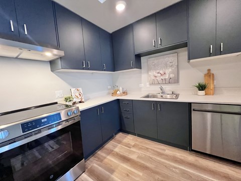 A modern kitchen with dark blue cabinets and a stainless steel oven.