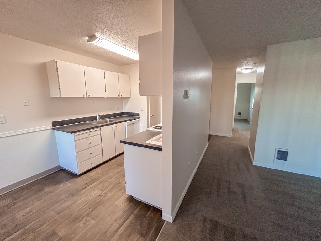 A kitchen with white cabinets and a countertop.