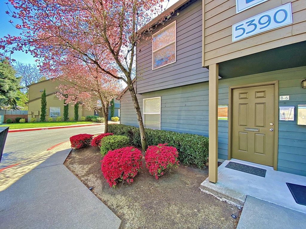 the front entrance of a home with a brown door and red flowers