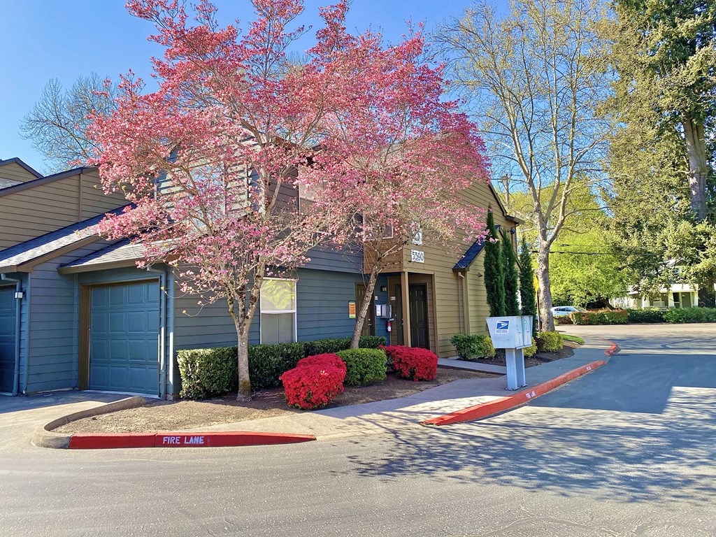 a house with a pink flowering tree in front of it