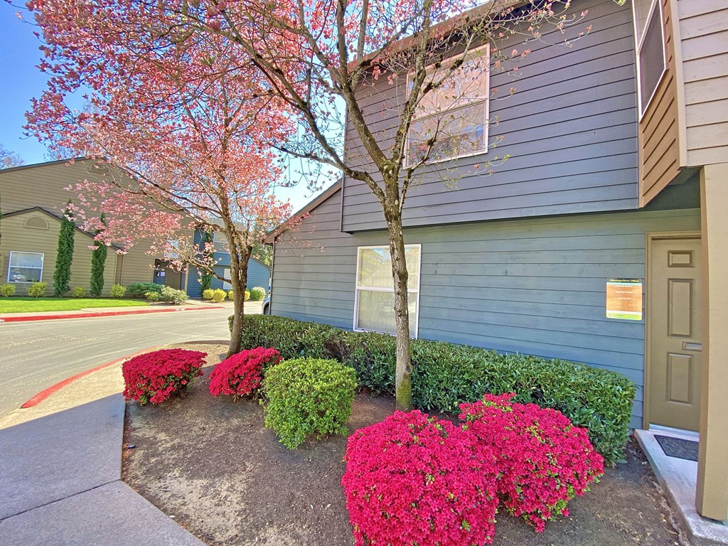 a front yard with pink flowers and a house