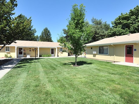 A tree stands in the middle of a grassy area between two houses.