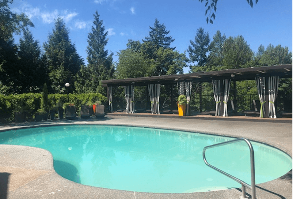 a swimming pool with trees in the background
