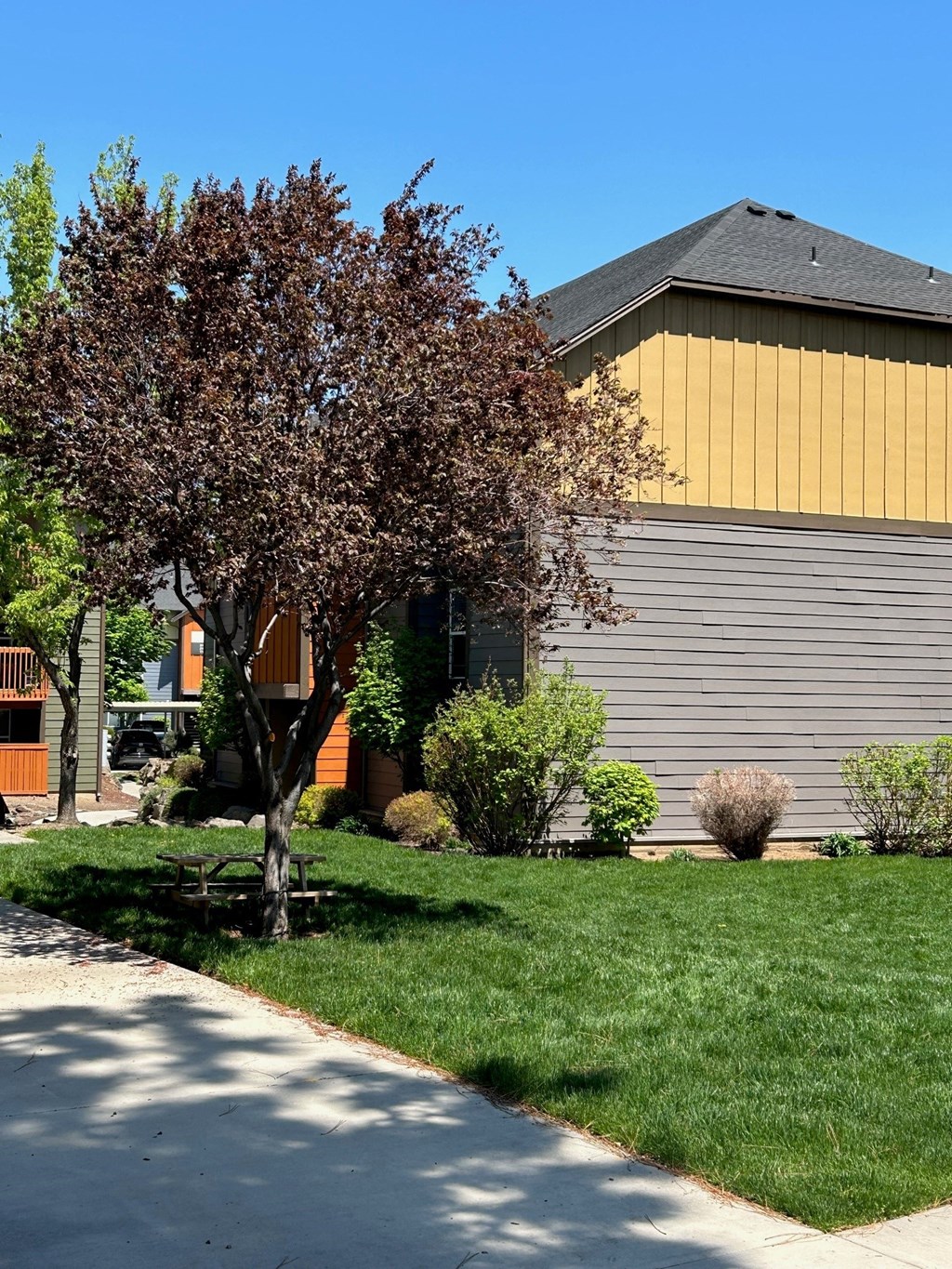 a house with a tree in the front yard