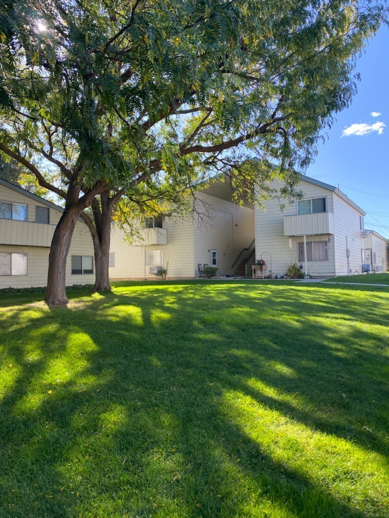 A tree in front of a building with a clear blue sky.