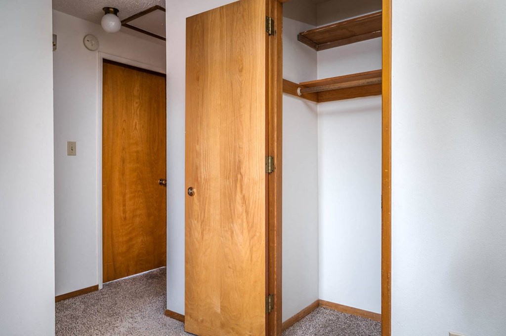 a bedroom with two closets and a carpeted floor