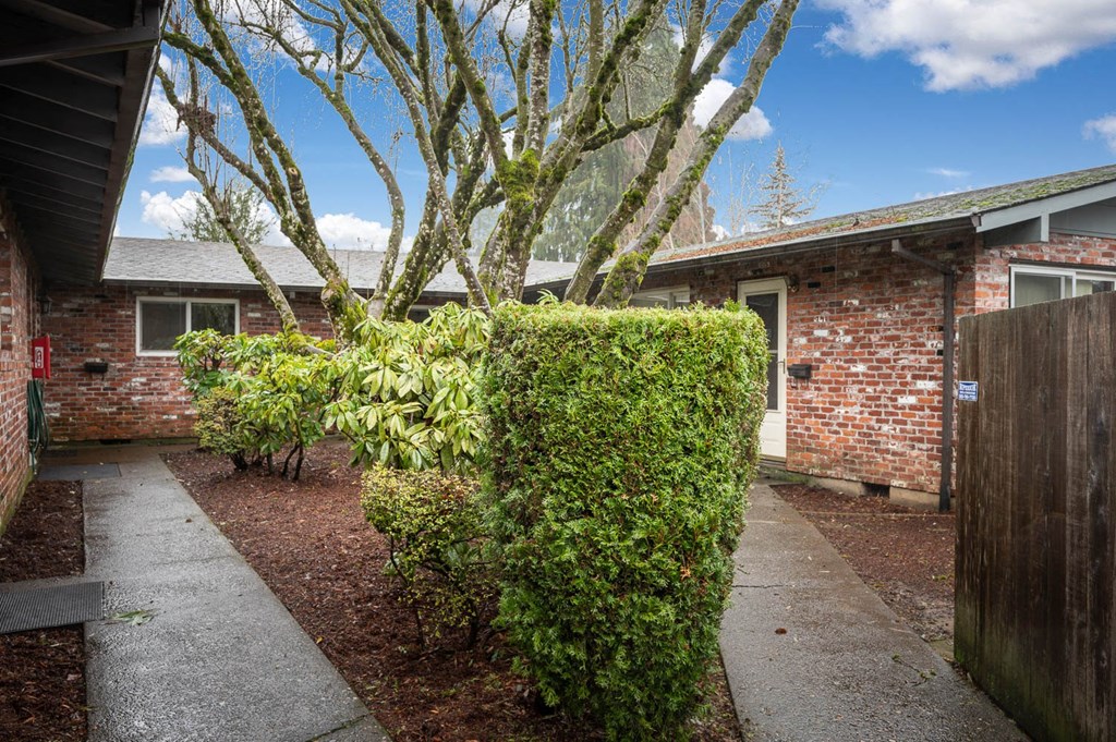 a house with a tree in front of it