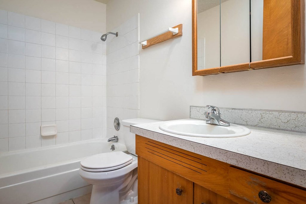 a bathroom with a sink toilet and bathtub