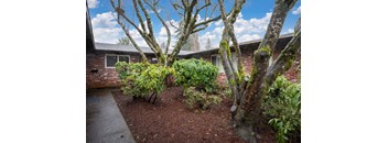a yard with trees and bushes in front of a brick house