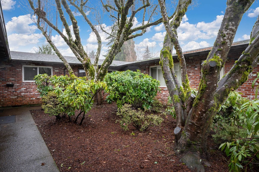 a yard with trees and bushes in front of a brick house