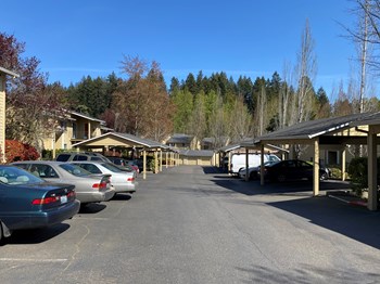 Wellington Estates parking - Photo Gallery 6