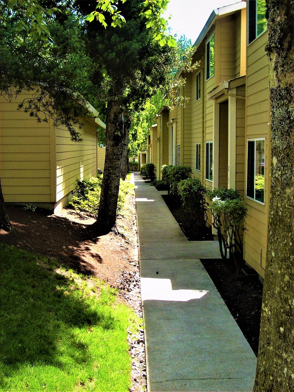 Wellington Estates walkway