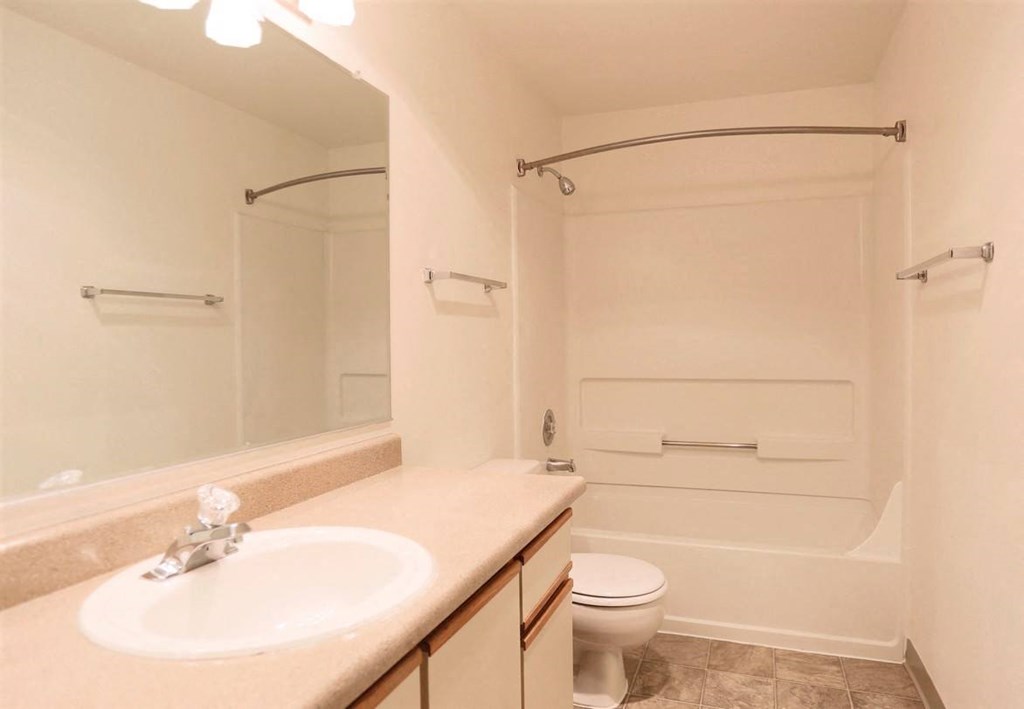 a bathroom with a sink and a toilet and a shower