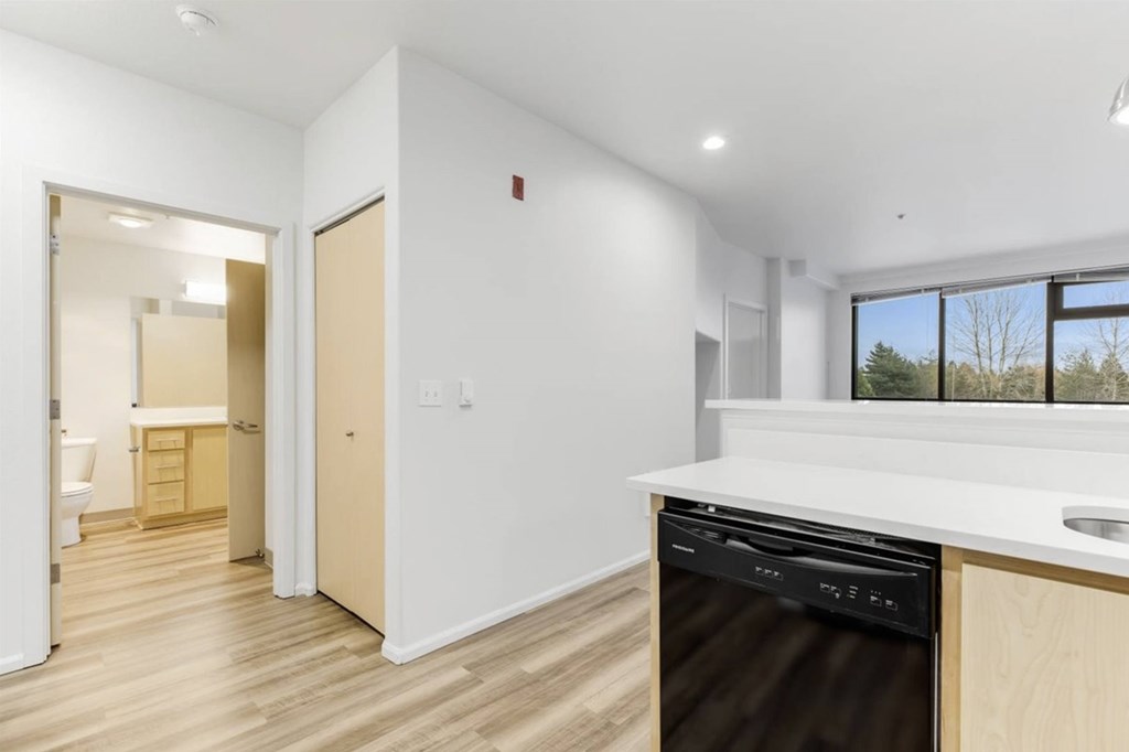 A modern kitchen with a dishwasher and a window.