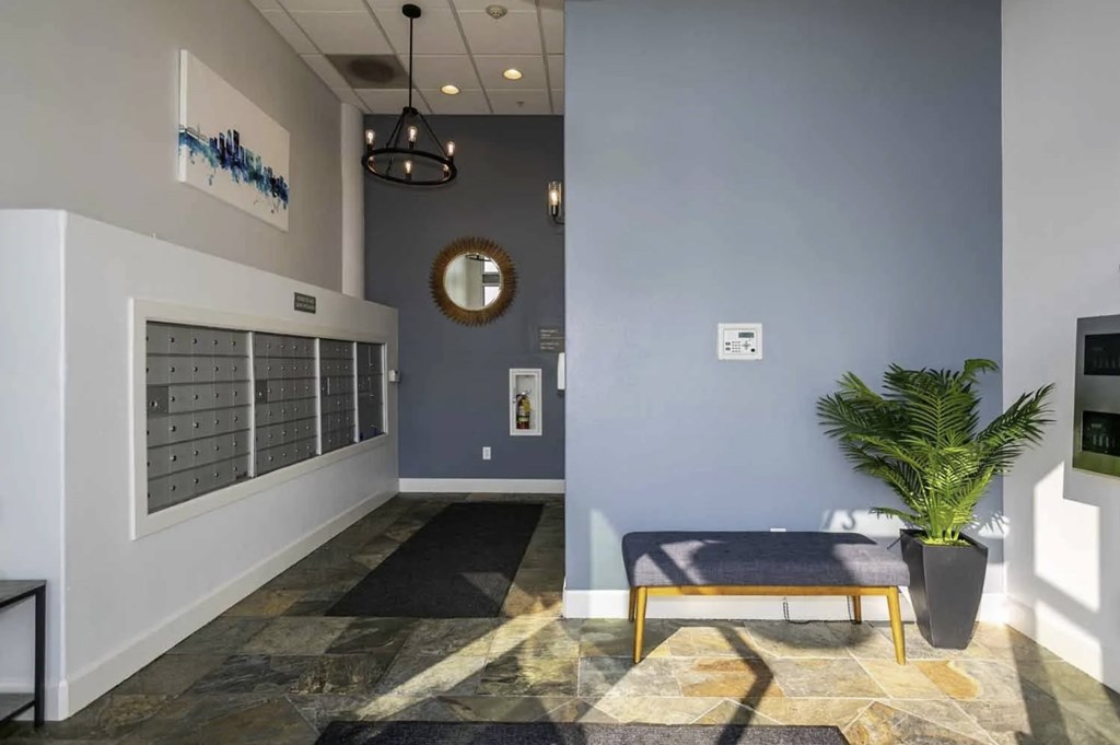 A room with a bench, a plant, and a mirror on the wall.