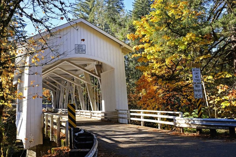 covered bridge albany oregon