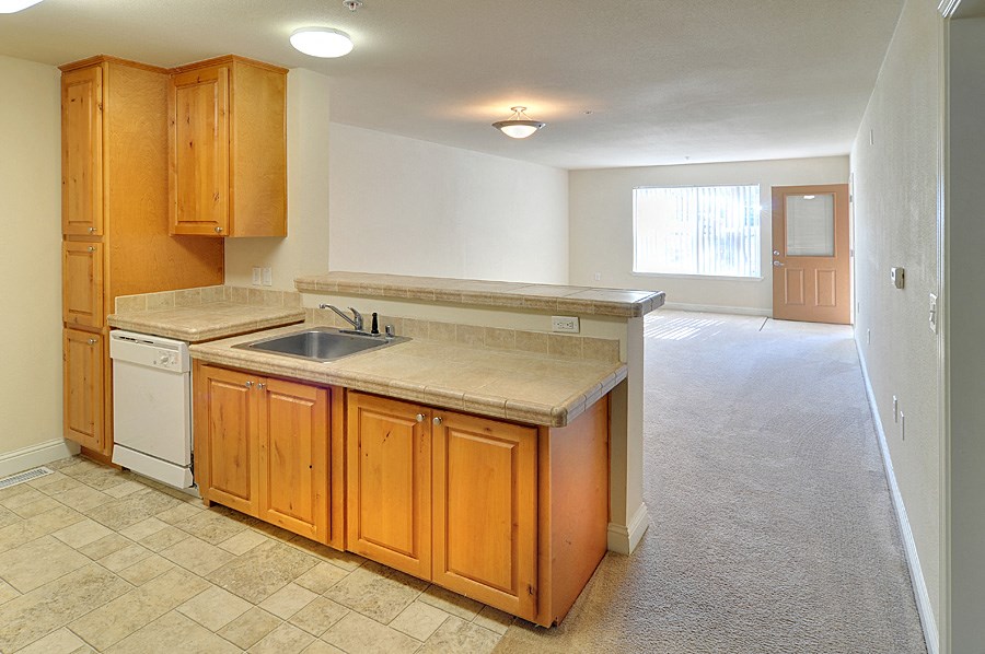 a kitchen with a sink and a dishwasher