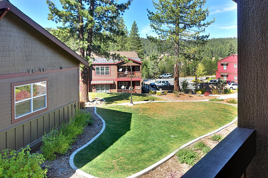a view of the yard of a house with a lawn and trees