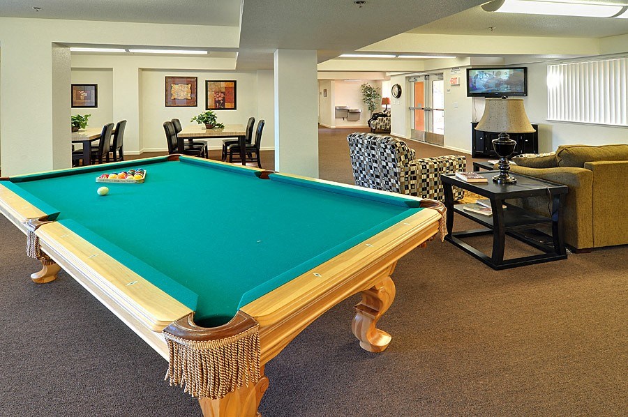 a game room with a pool table and a tv