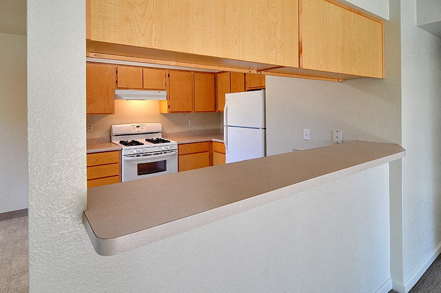 a kitchen with a counter and a stove and a refrigerator