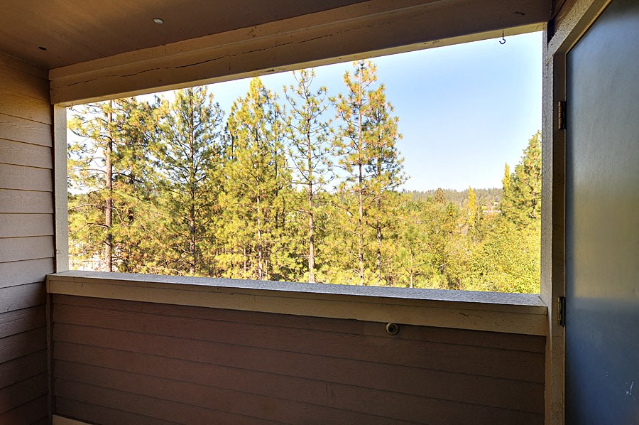 a view of the forest from the window of a cabin