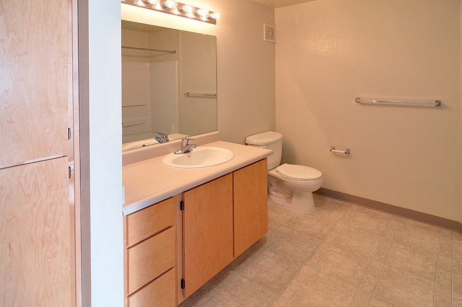 a bathroom with a sink and a toilet