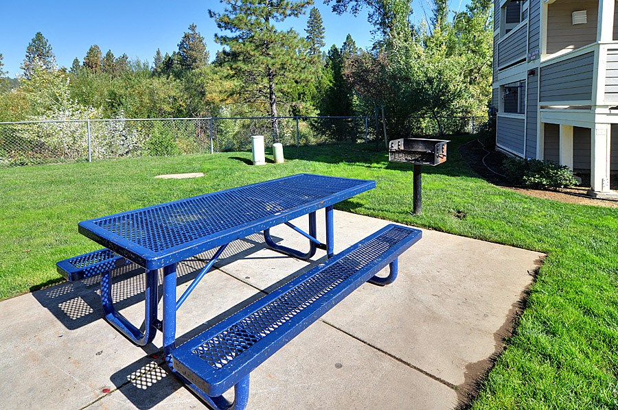 a blue picnic table with a blue bench in a yard