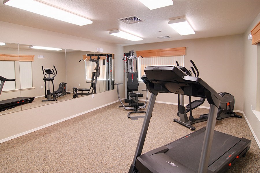 the gym in our apartments has cardio equipment and a treadmill