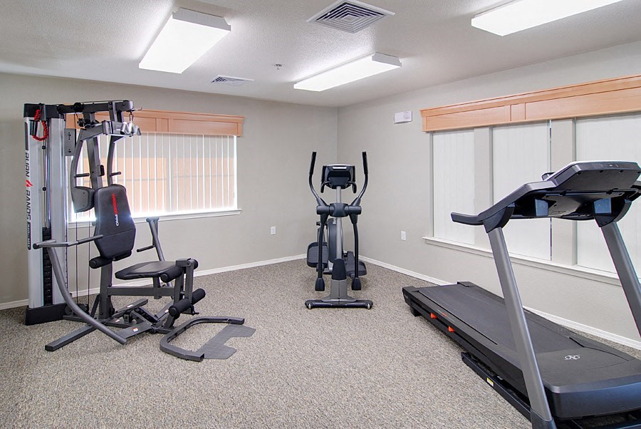 an exercise room with exercise equipment in a home gym