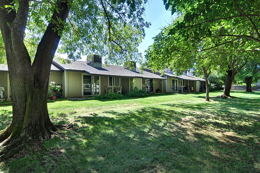 a row of houses on a grassy area with trees