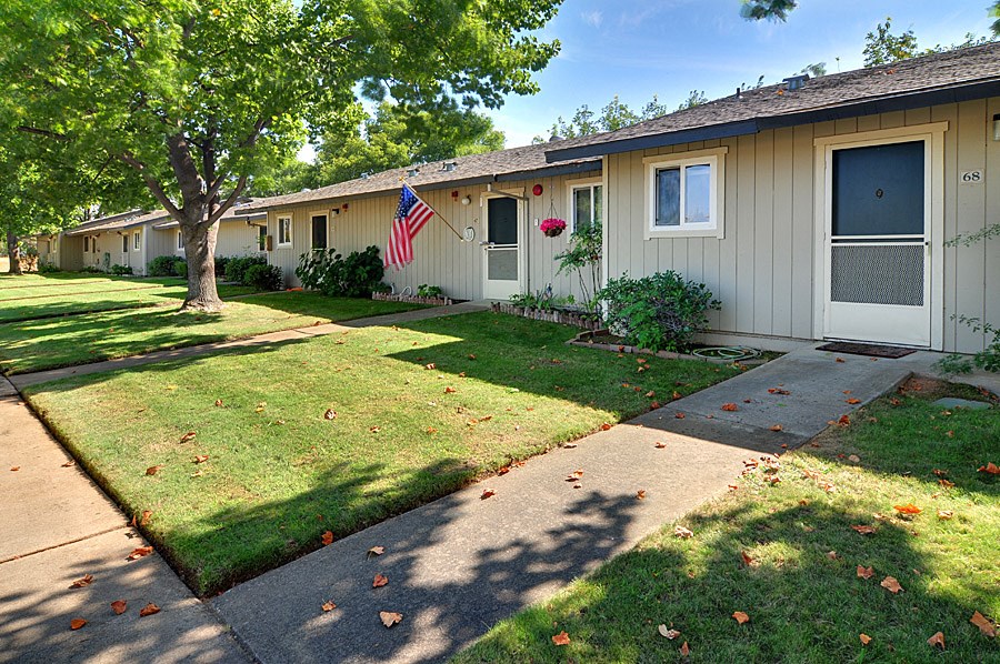 an american flag hangs from a tree in front of a row of mobile homes