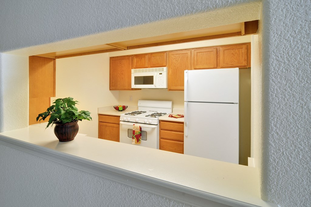 a kitchen with a white refrigerator freezer next to a stove top oven