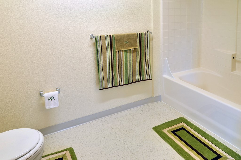 a bathroom with a toilet and a bathtub