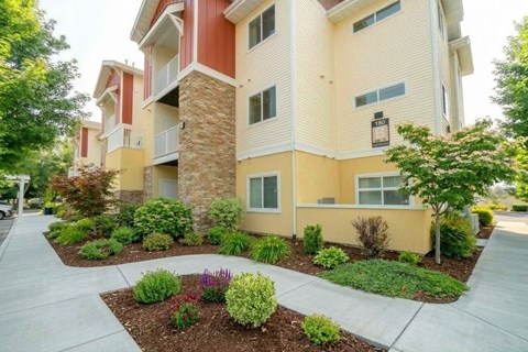 A building with a landscaped front yard.
