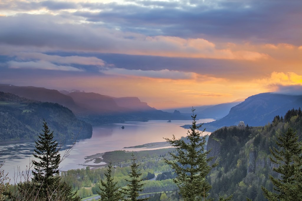 Cherry Ridge The Columbia River Gorge